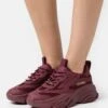 Steve Madden Possession - Sneakers Laag - Wine